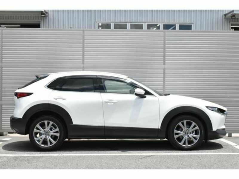 CX-30-1