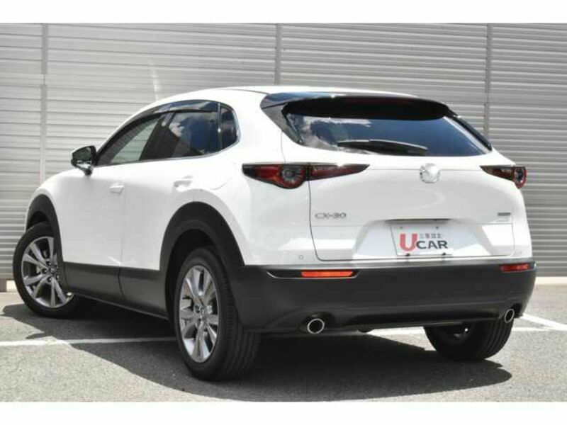 CX-30-2