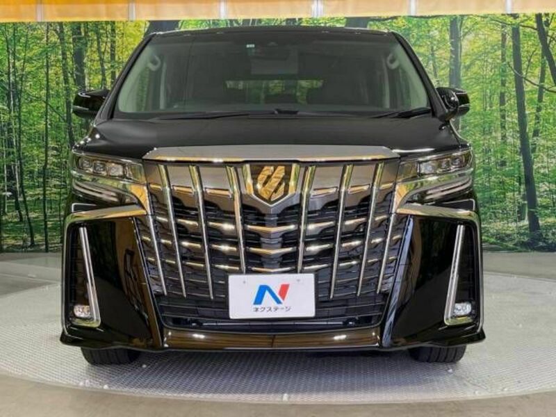 ALPHARD-14