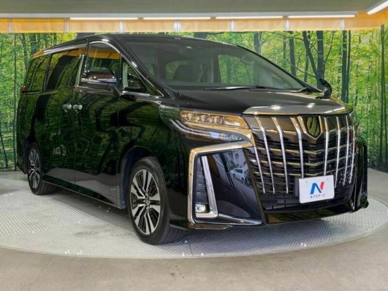 ALPHARD-16