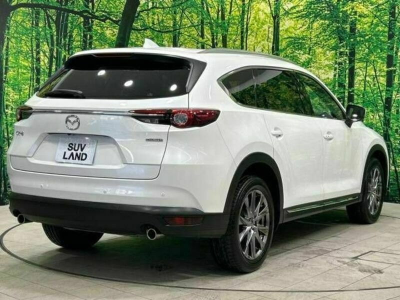 CX-8-18