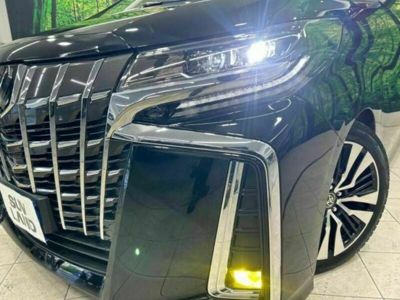 ALPHARD-13