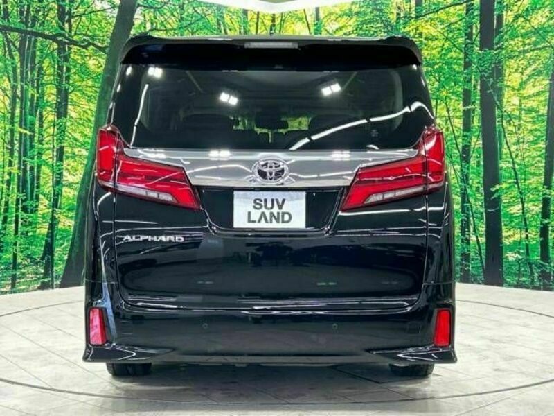 ALPHARD-16