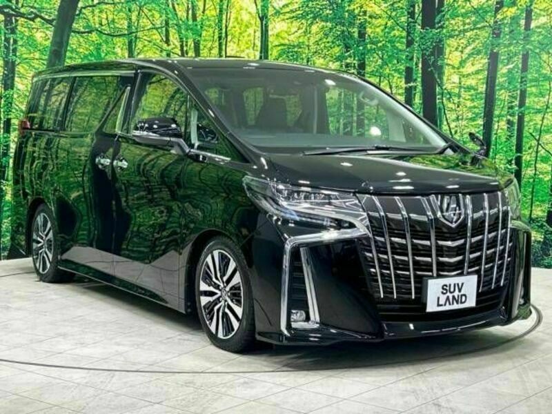 ALPHARD-17