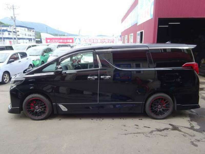 ALPHARD-11