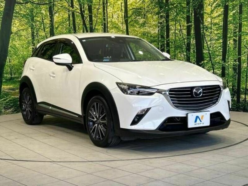 CX-3-16