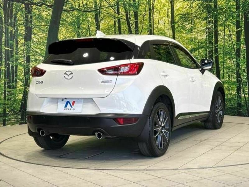 CX-3-17