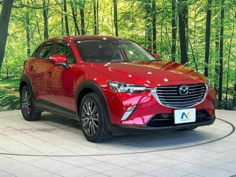 CX-3-16