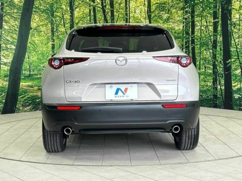 CX-30-15