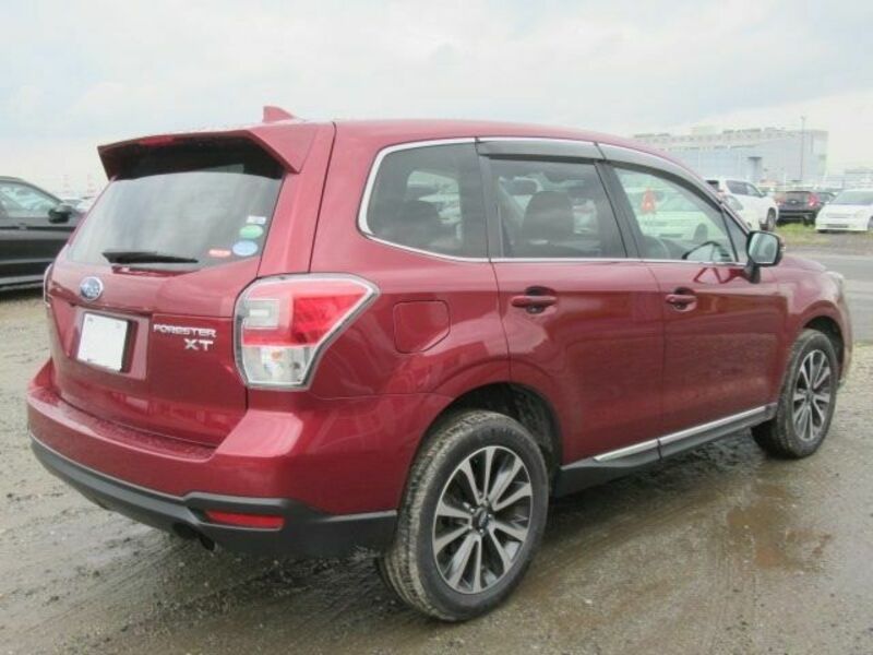 FORESTER-1