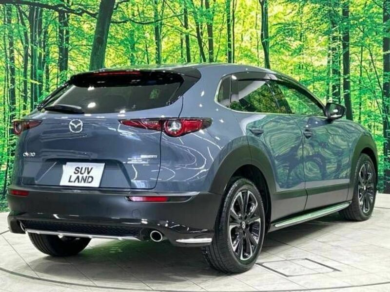 CX-30-17