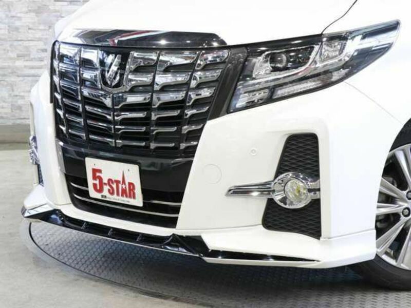 ALPHARD-4