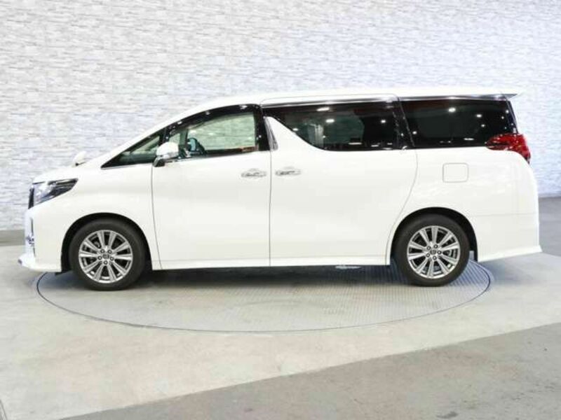 ALPHARD-10