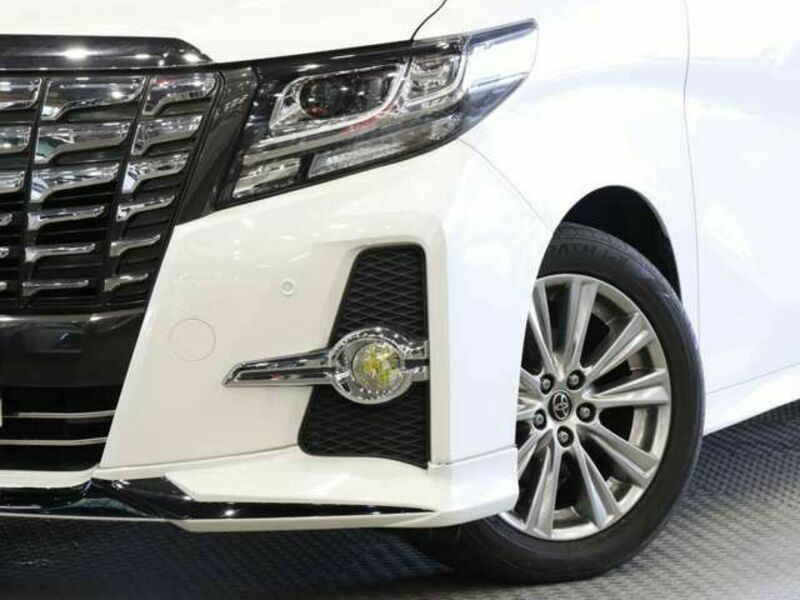 ALPHARD-15