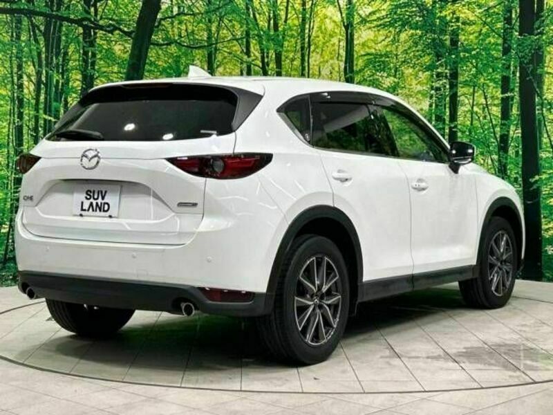 CX-5-16