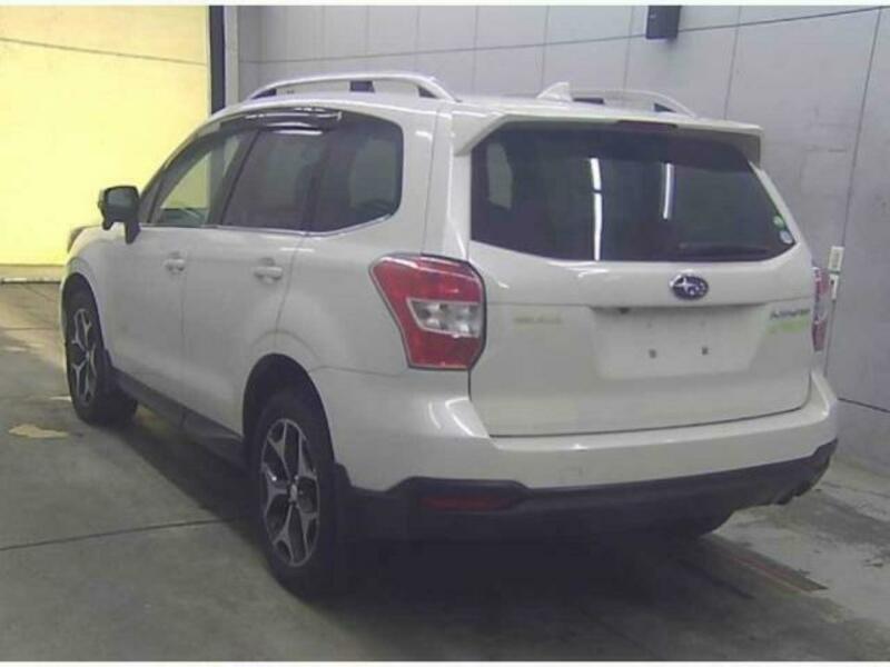 FORESTER-1