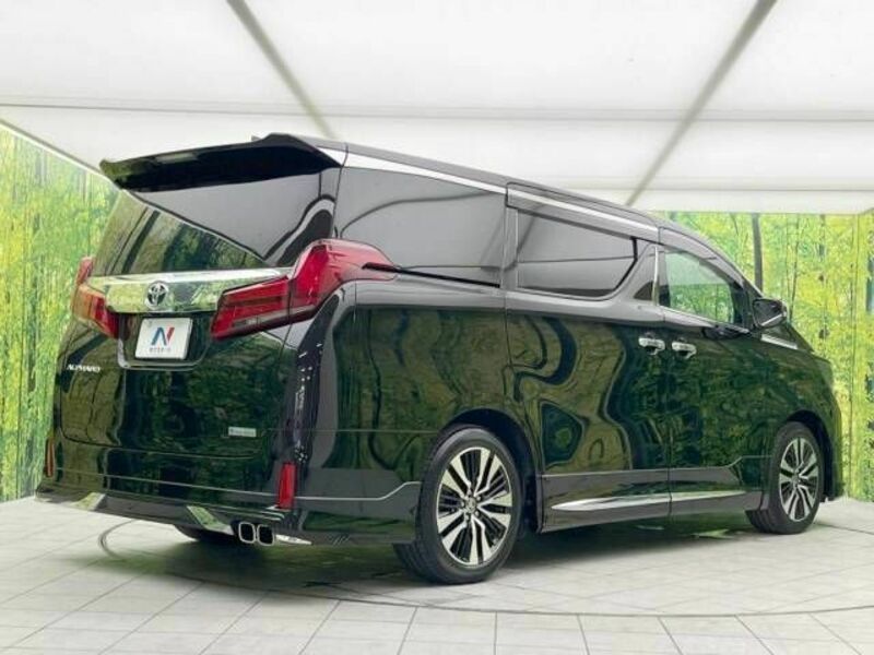 ALPHARD-18