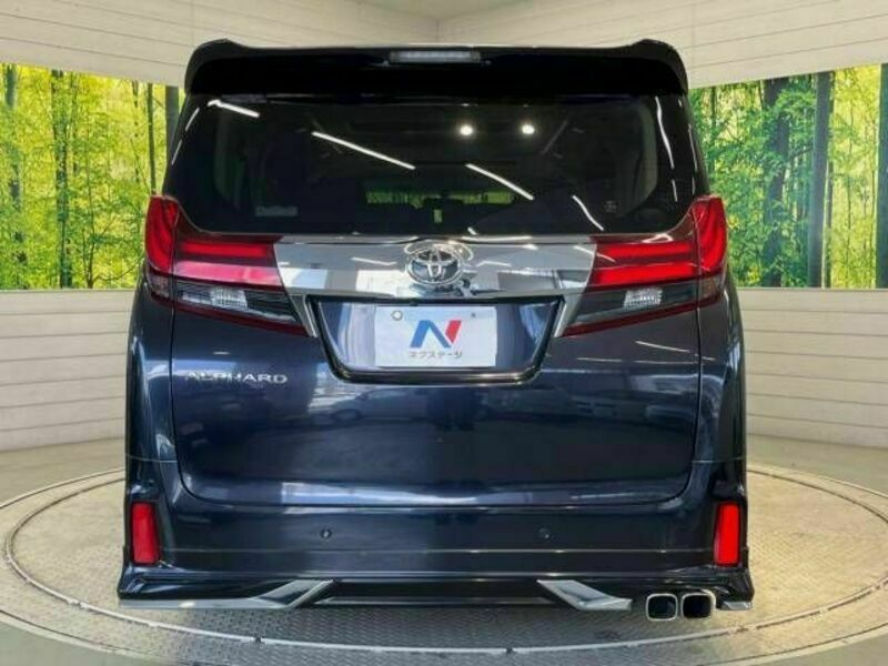 ALPHARD-15