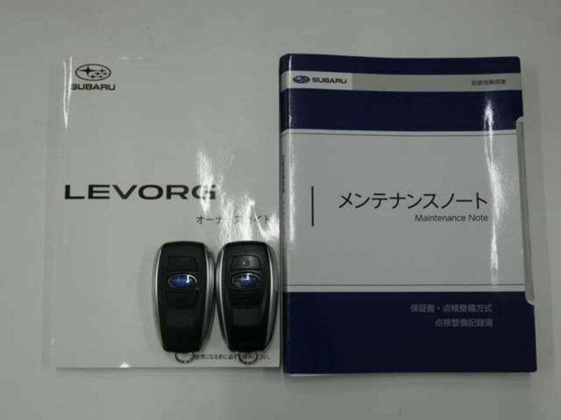 LEVORG-27