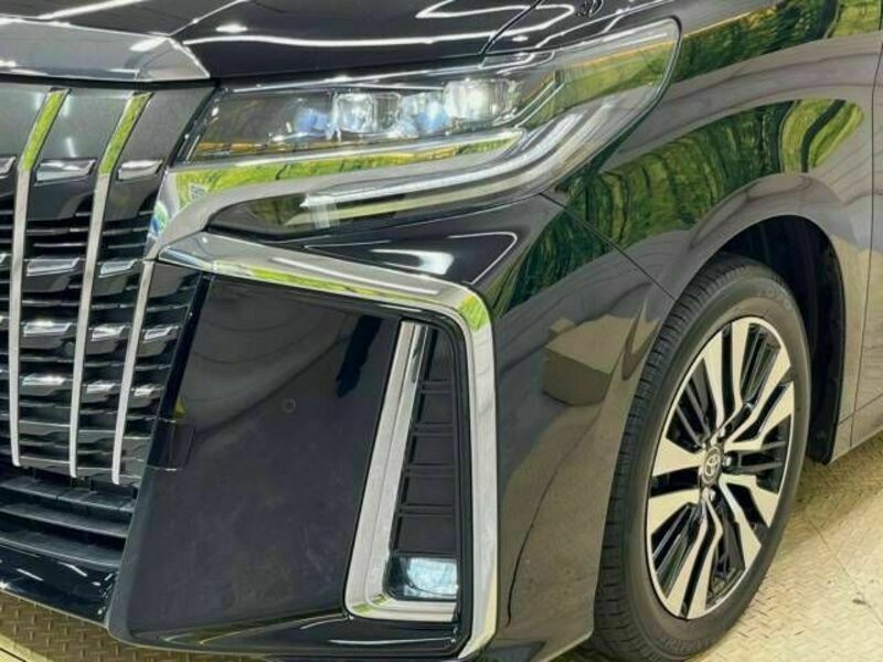 ALPHARD-13