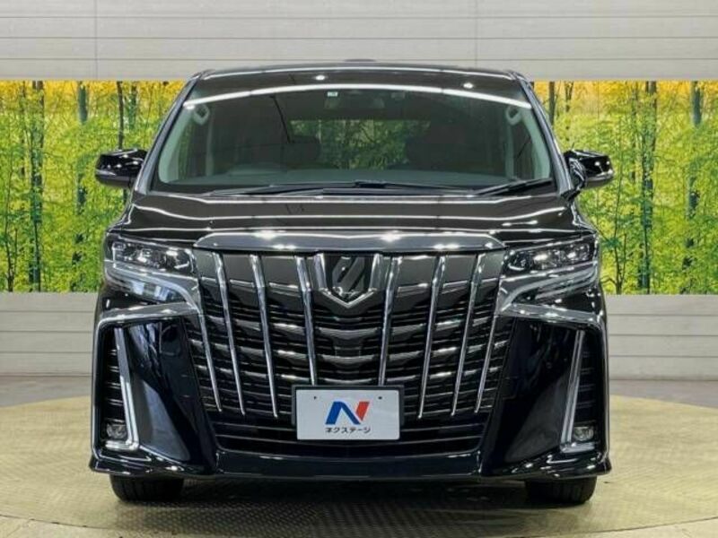 ALPHARD-15