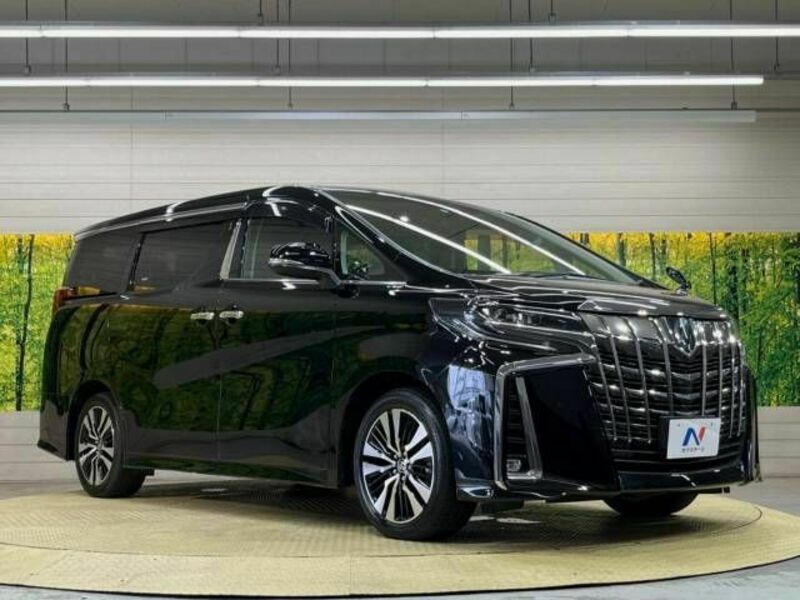 ALPHARD-17