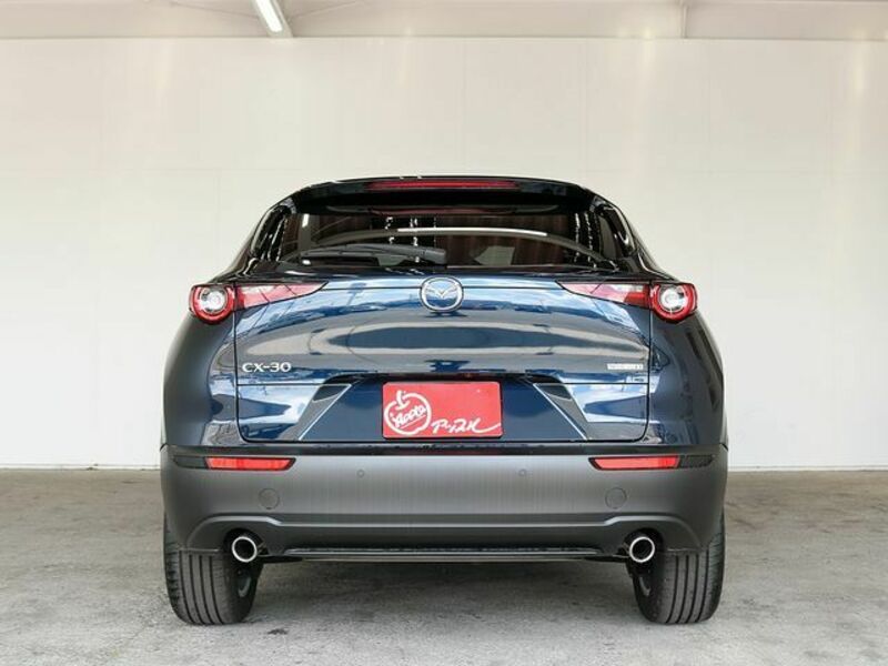 CX-30-1