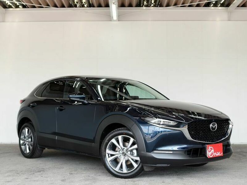 CX-30-3