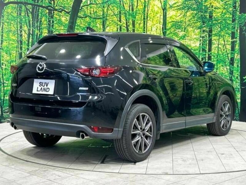 CX-5-17