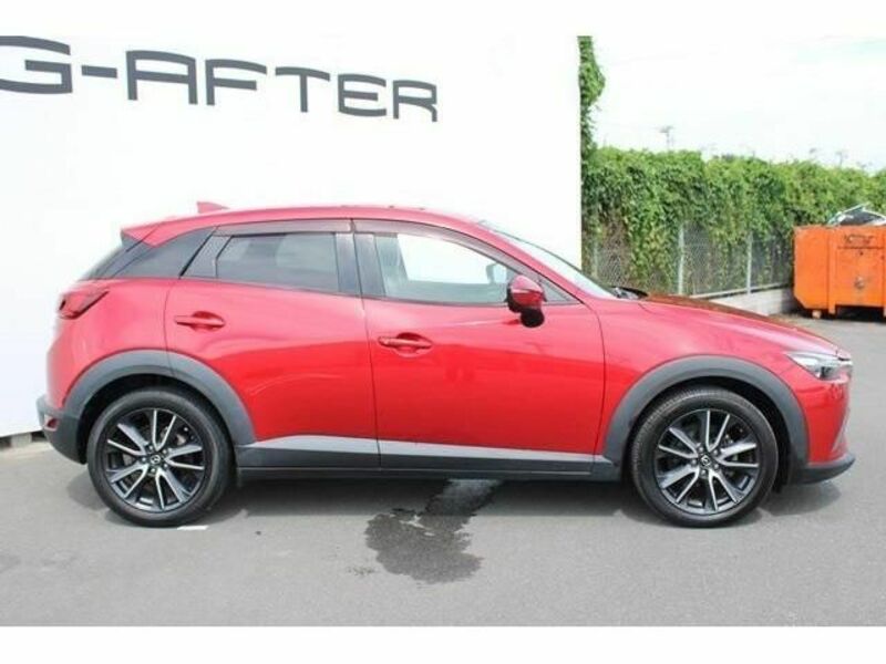 CX-3-6