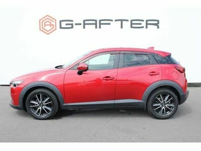 CX-3-8