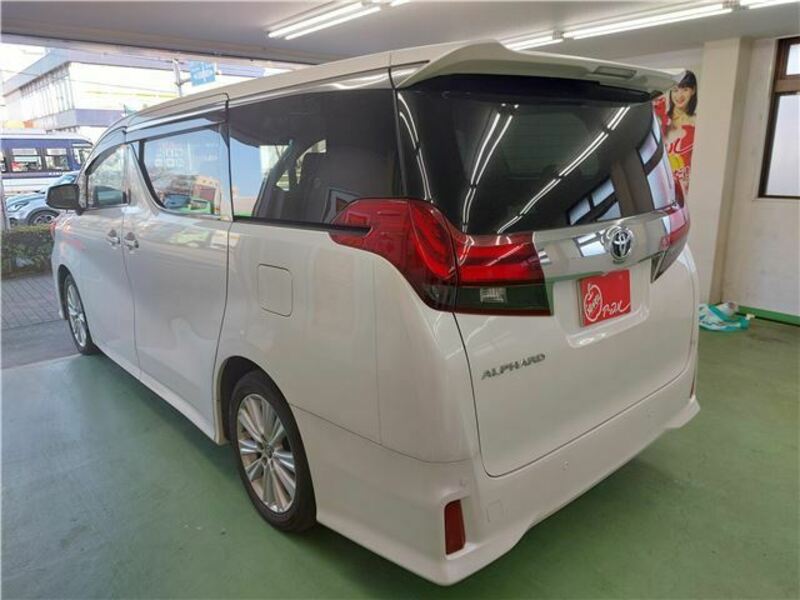 ALPHARD-17