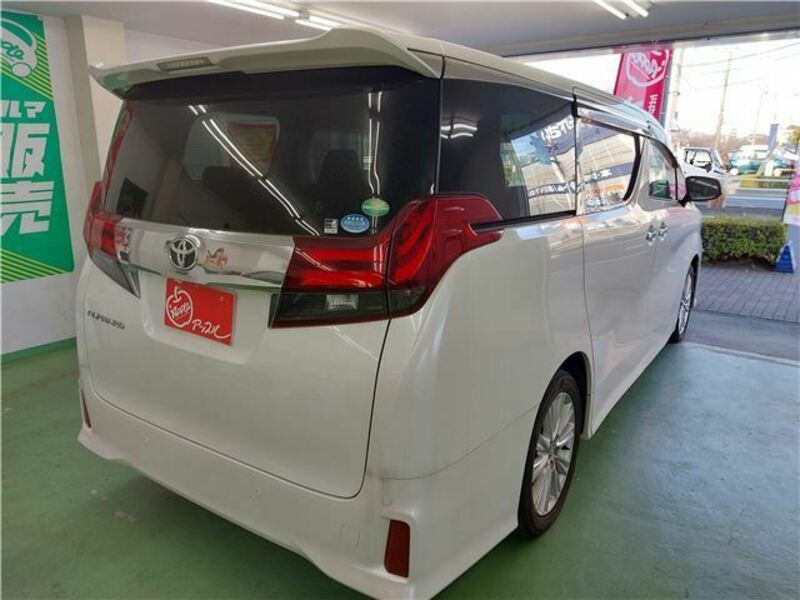 ALPHARD-19