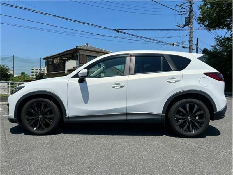 CX-5-41