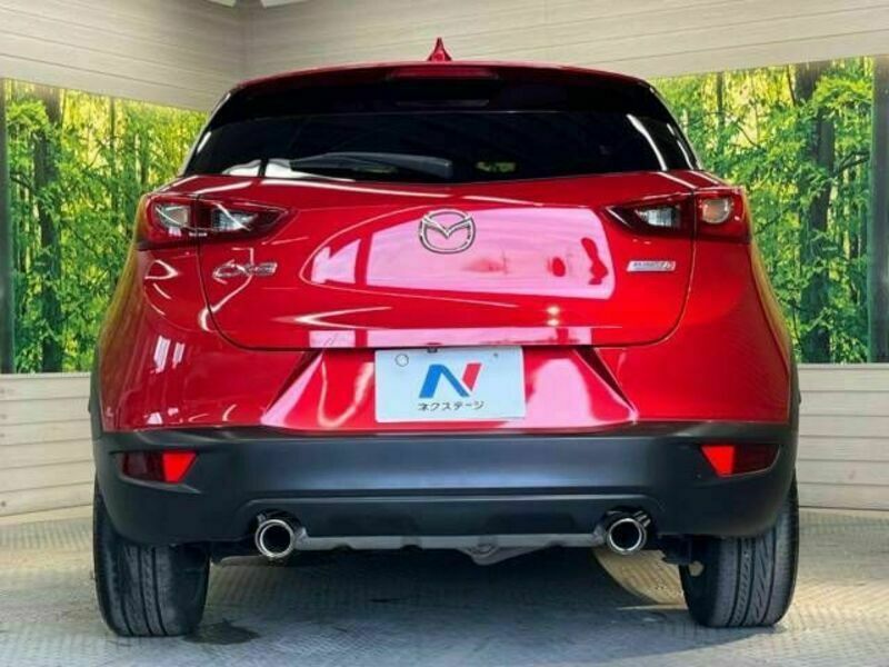 CX-3-15