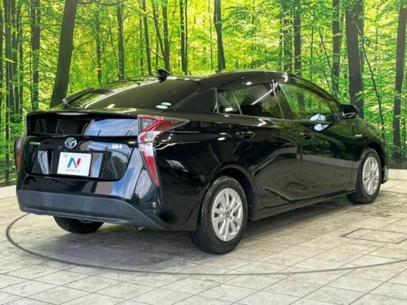 PRIUS-17