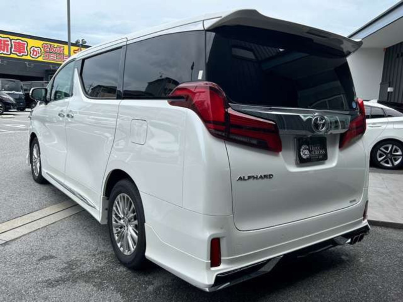 ALPHARD-13