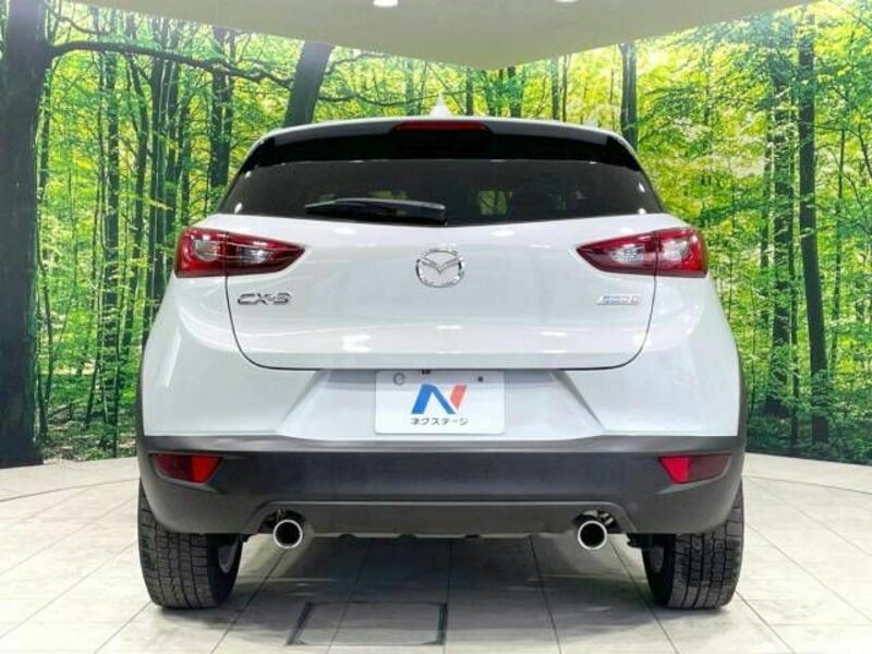 CX-3-15