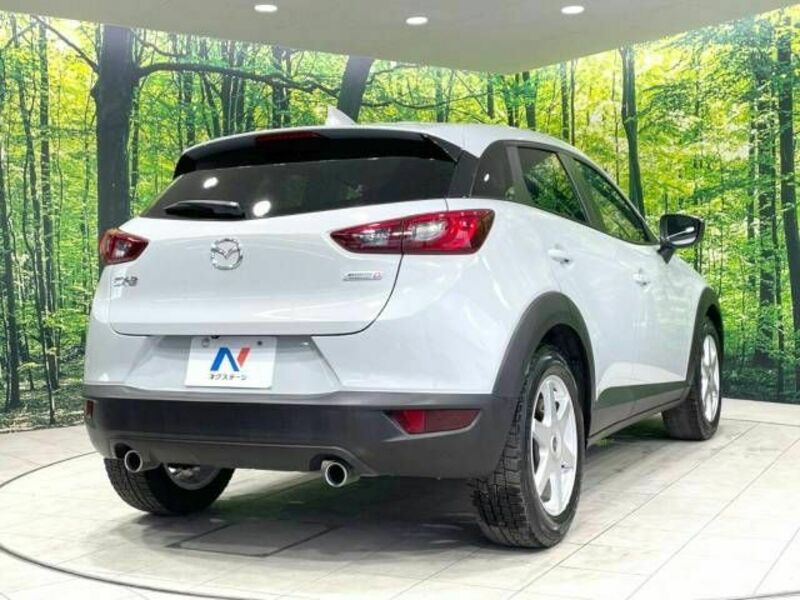 CX-3-17