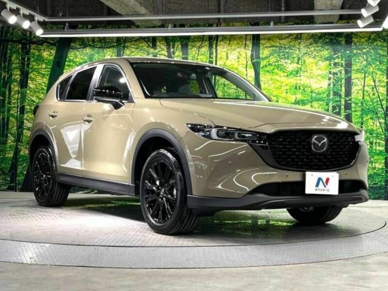 CX-5-16