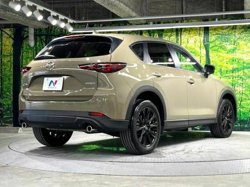 CX-5-17