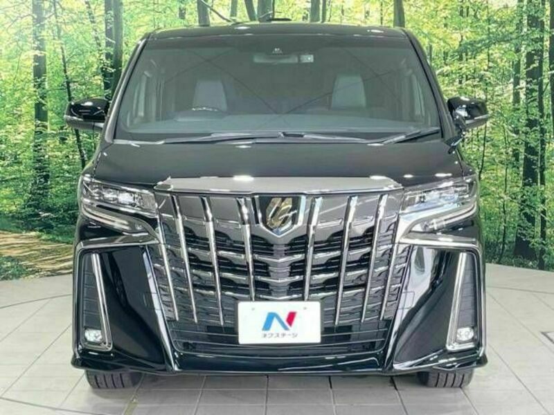 ALPHARD-15