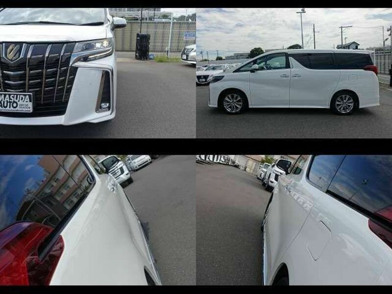 ALPHARD-11