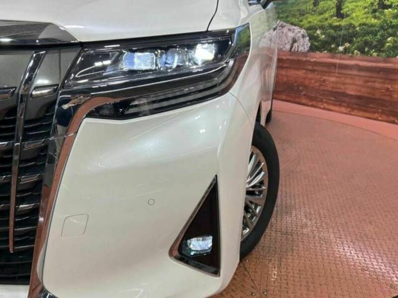 ALPHARD-13