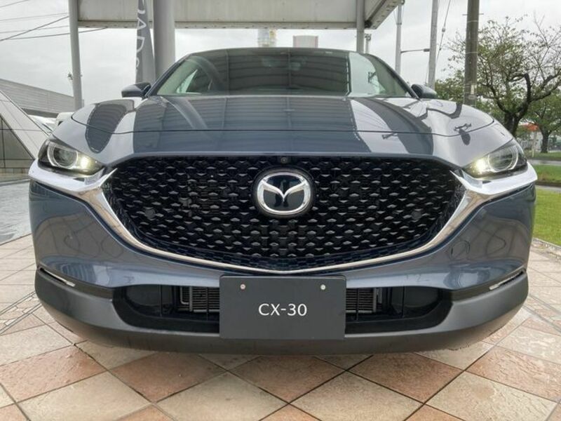 CX-30-1