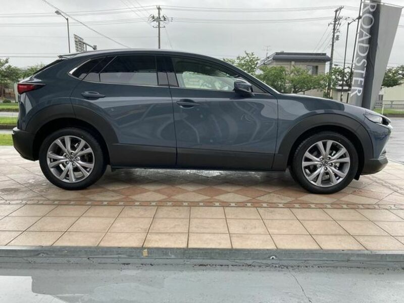 CX-30-3