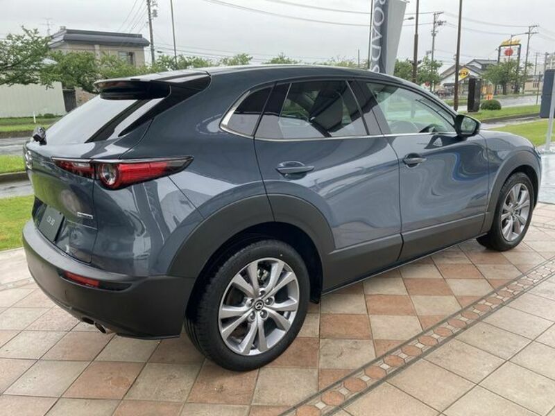 CX-30-4