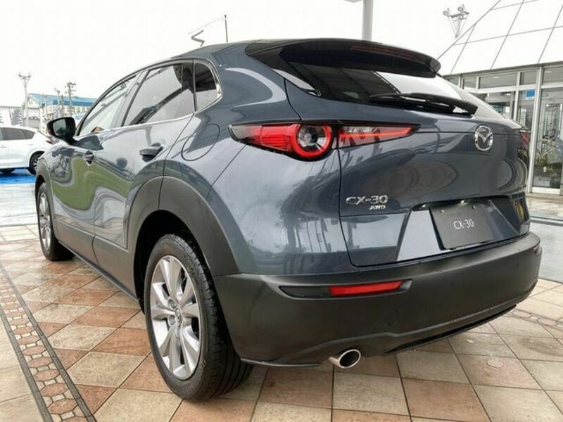 CX-30-6