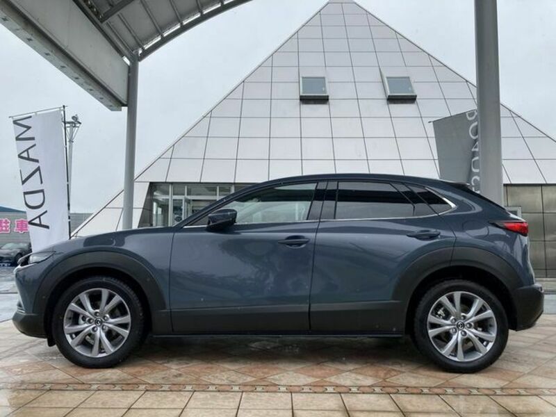 CX-30-7