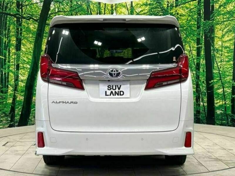 ALPHARD-16